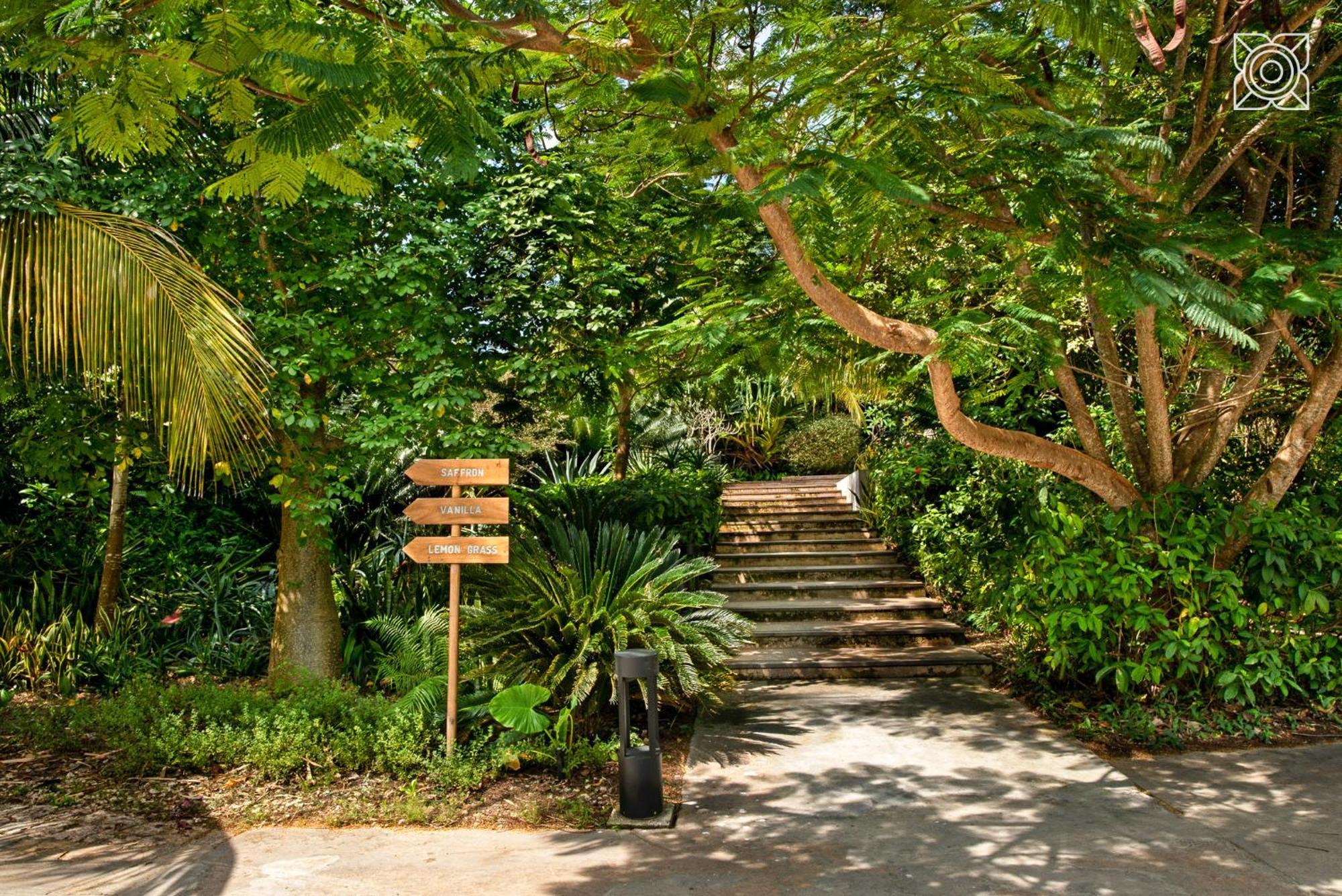 Hotel Zuri Zanzibar Kendwa Exteriér fotografie